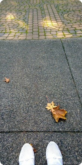 Grotto - Pondering the Path