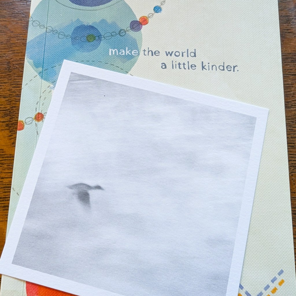 photo of a notebook with the words "Marke the world a little kinder" and a photo of a goose flying in the fog sitting on top of the notebook
